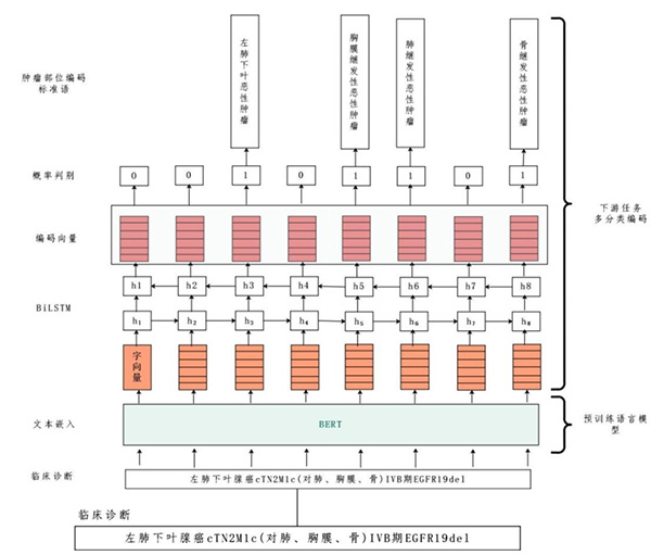 2.jpg 2.jpg